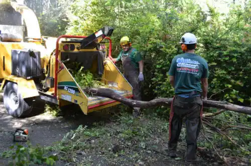 tree services Farmland